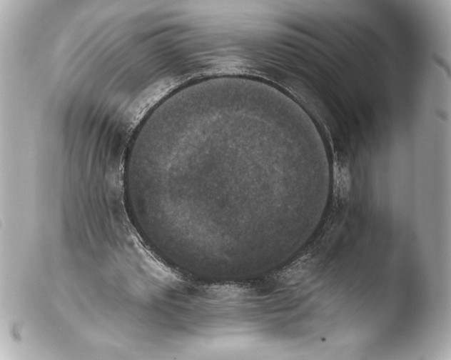 X0000103950389200810031351