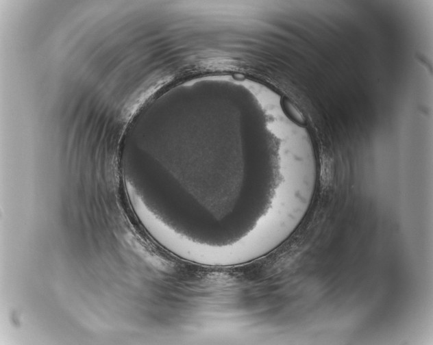 X0000103950390200810031350