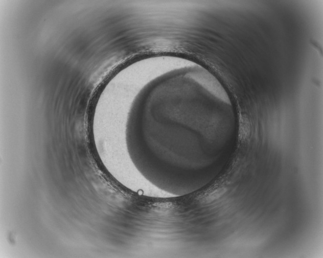 X0000103950391200810031350