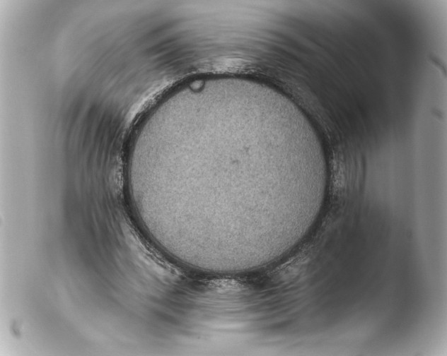 X0000103950392200810031350