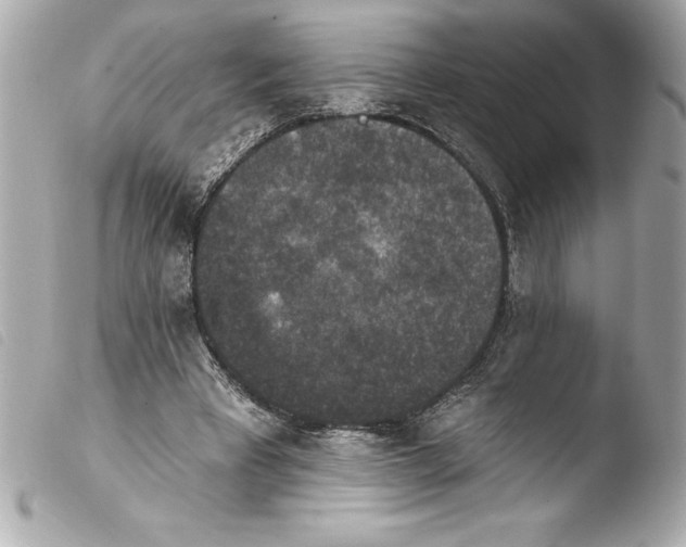 X0000103950393200810031350