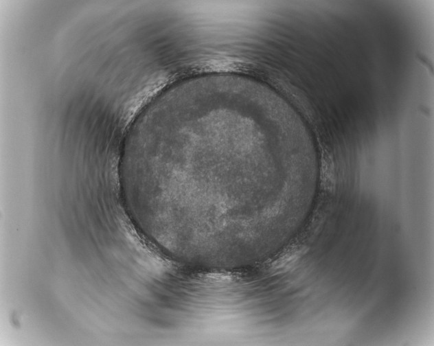 X0000103950394200810031350