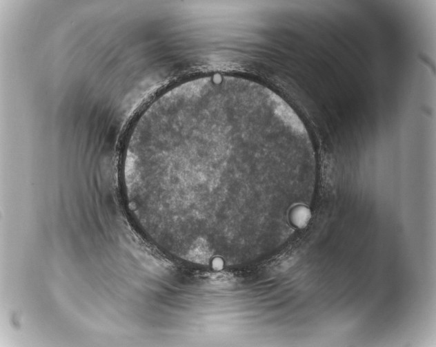 X0000103950395200810031350