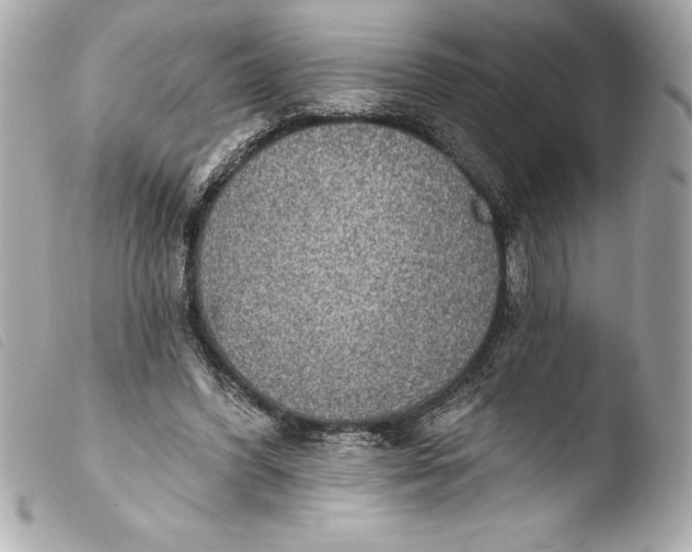 X0000103950396200810031350