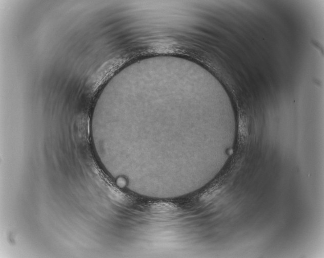 X0000103950397200810031350