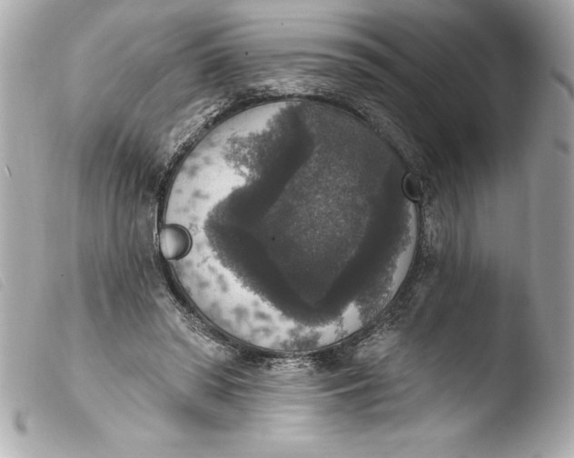 X0000103950398200810031350