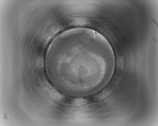 X0000103950399200810031350