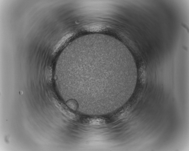 X0000103950400200810031350