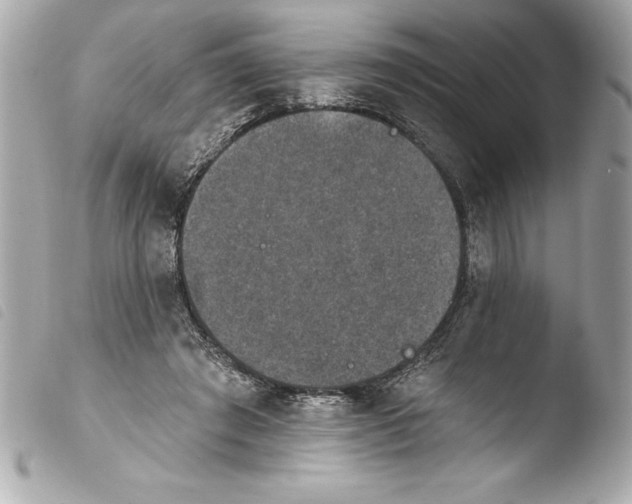 X0000103950401200810031350