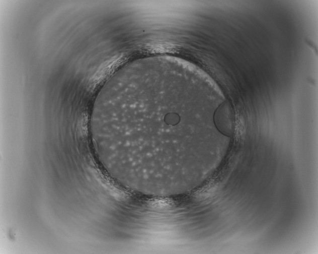 X0000103950402200810031350