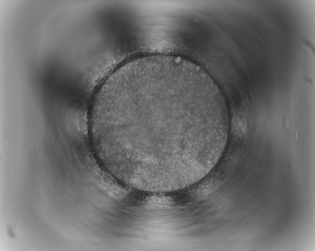 X0000103950403200810031350