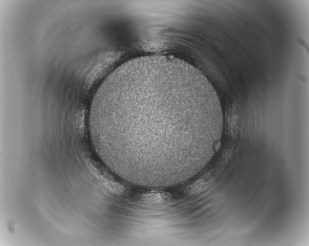 X0000103950404200810031350