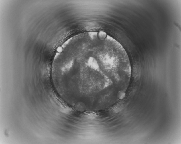 X0000103950405200810031350