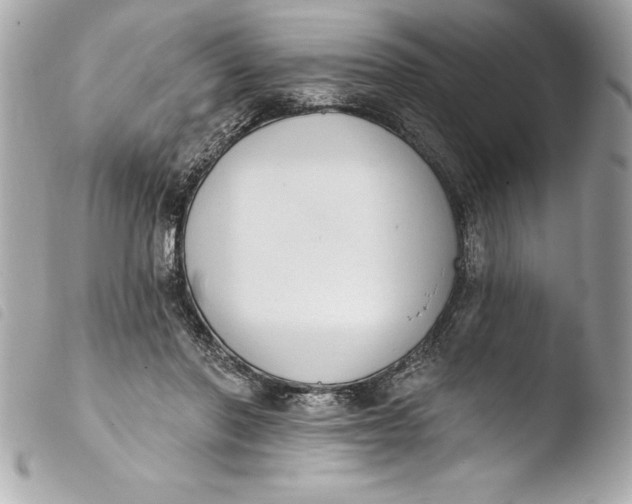 X0000103950406200810031350