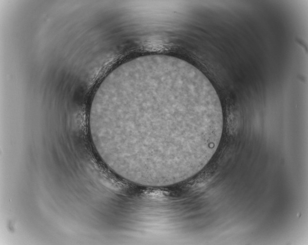 X0000103950407200810031350