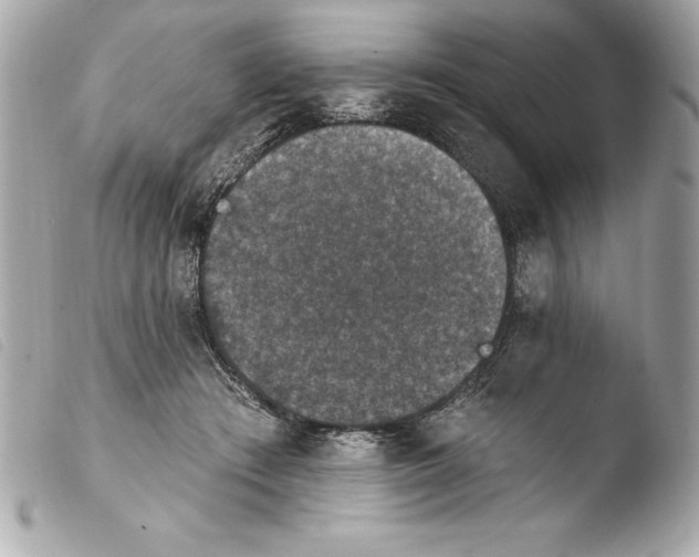 X0000103950409200810031350