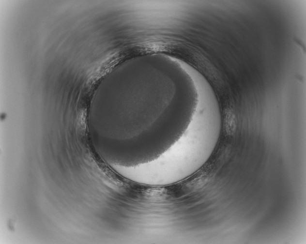 X0000103950410200810031350