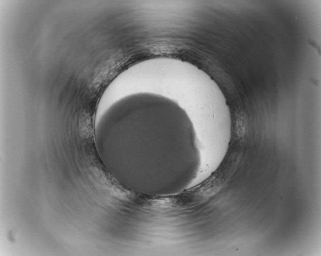 X0000103950411200810031350