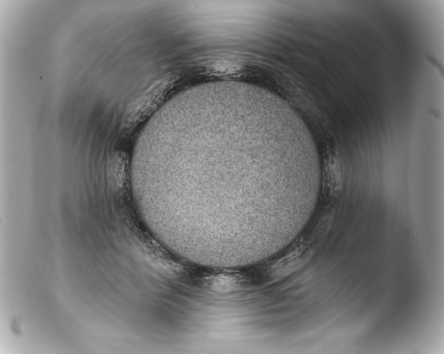 X0000103950412200810031350