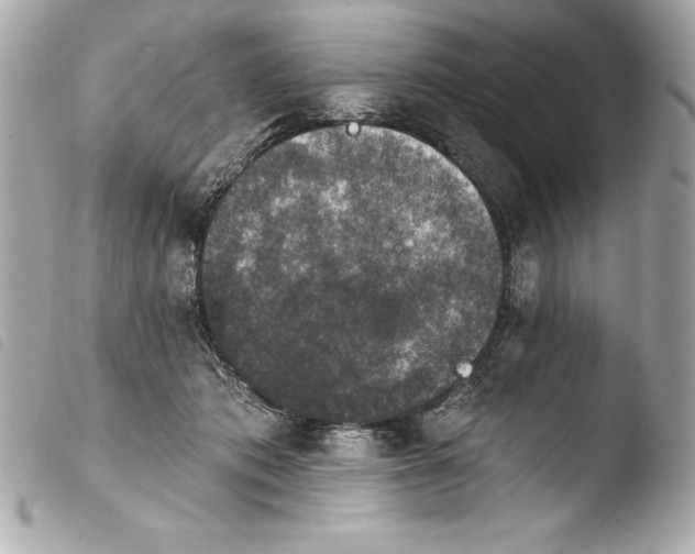 X0000103950413200810031350