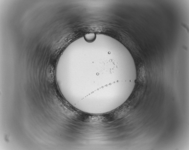 X0000103950414200810031350