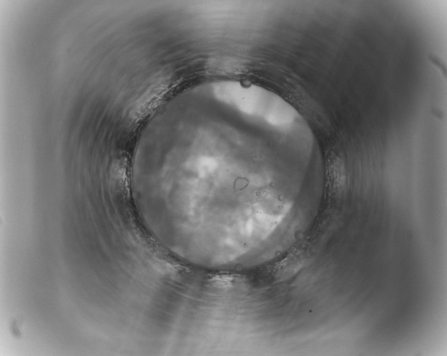 X0000103950415200810031350