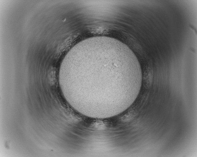 X0000103950416200810031350