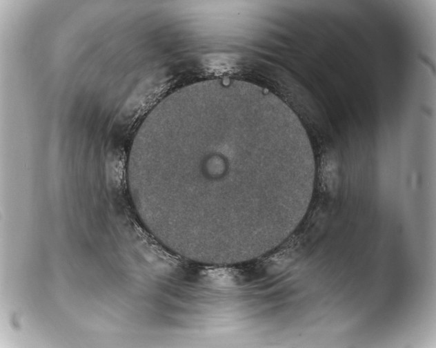 X0000103950417200810031350