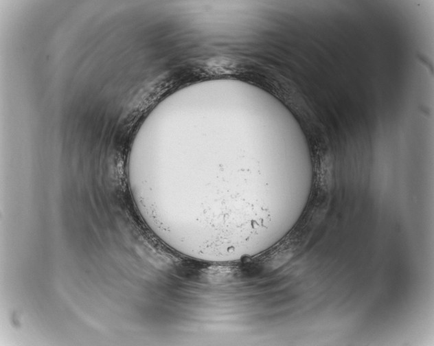 X0000103950418200810031350