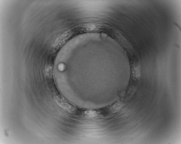 X0000103950419200810031350