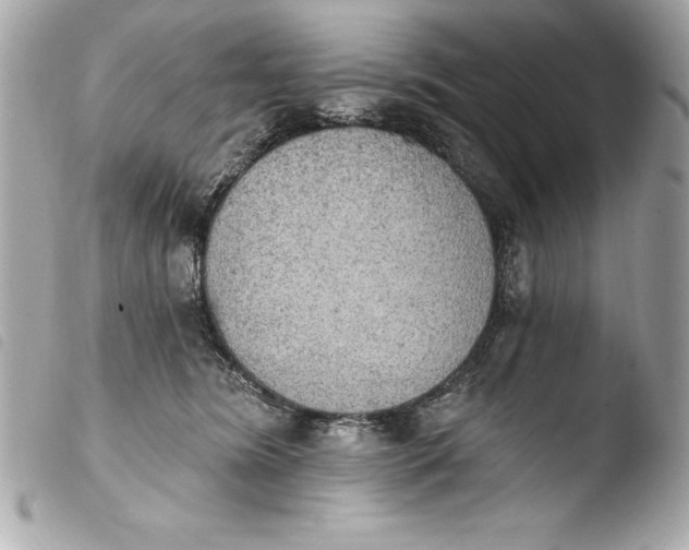 X0000103950420200810031350