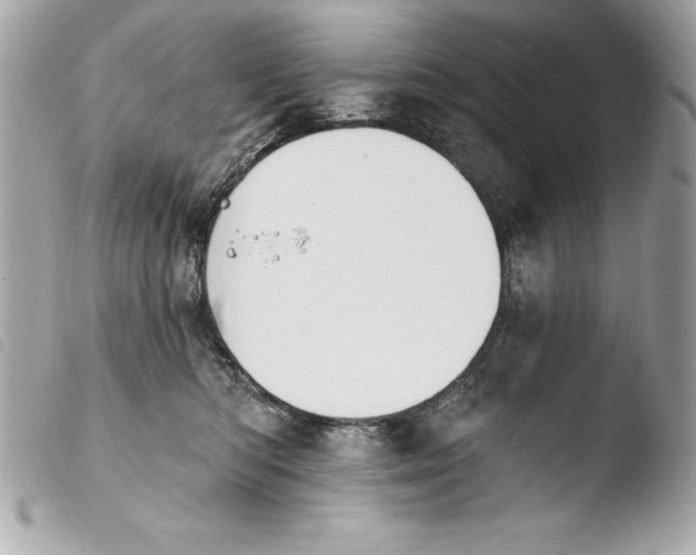 X0000103950422200810031350