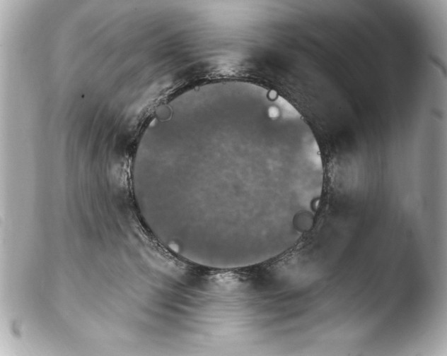 X0000103950423200810031350