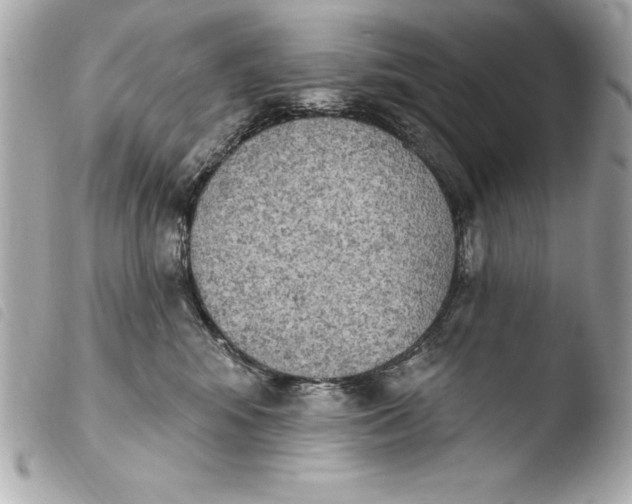 X0000103950424200810031350