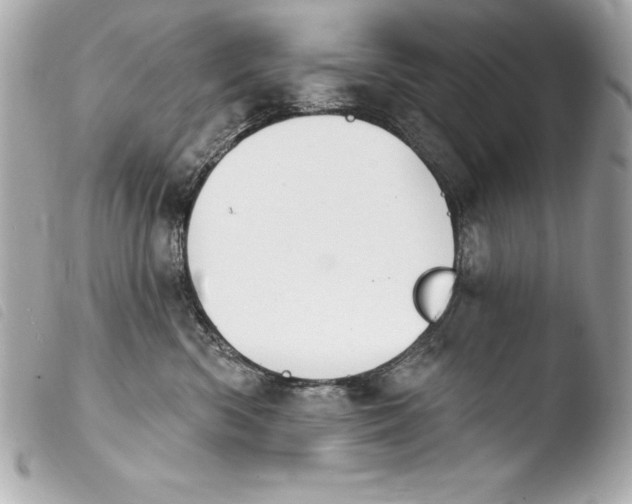 X0000103950426200810031350