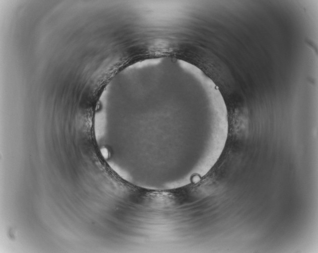 X0000103950427200810031350