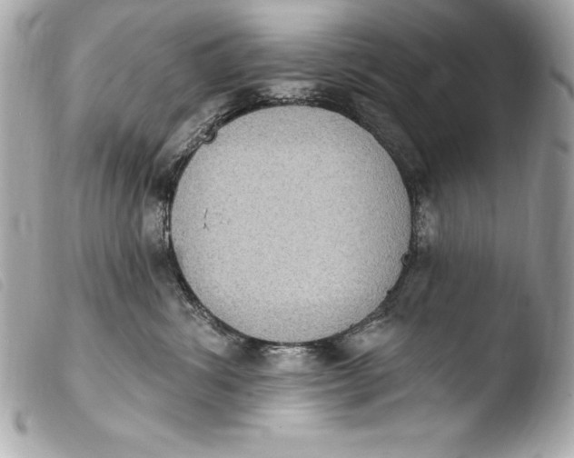 X0000103950428200810031350