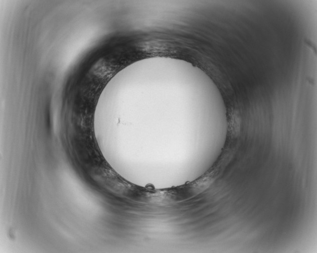 X0000103950430200810031350