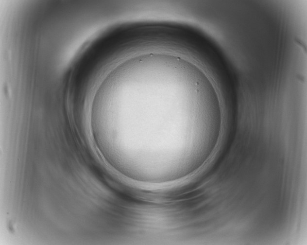 X0000103950431200810031350