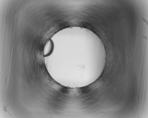 X0000103950432200810031350