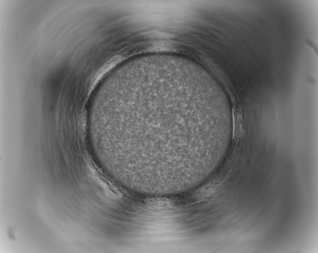 X0000103950435200810031349