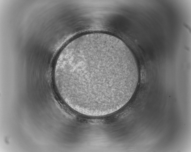 X0000103950436200810031349