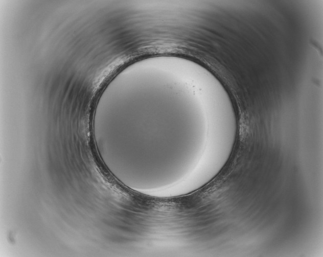 X0000103950438200810031349