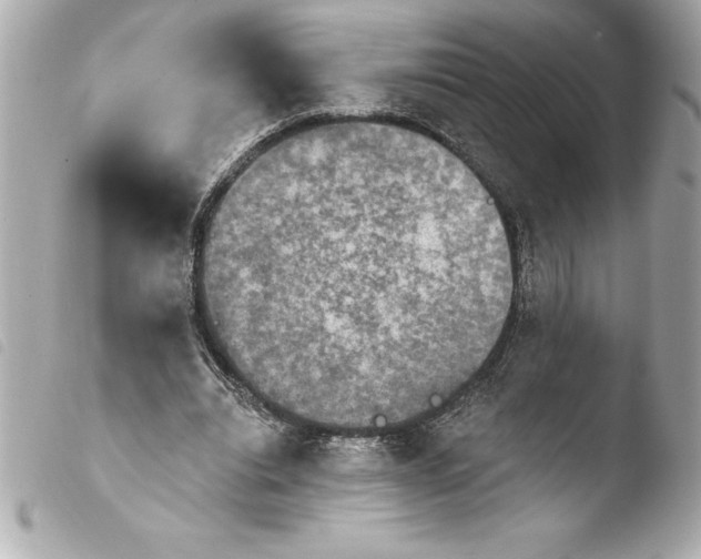 X0000103950440200810031349