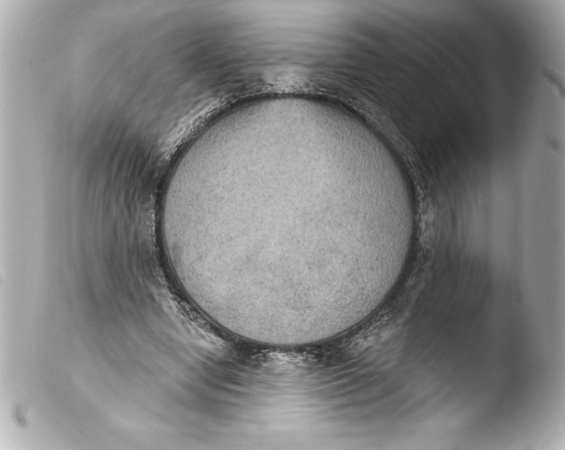 X0000103950442200810031349