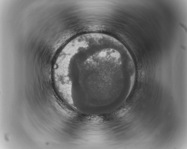 X0000103950443200810031349