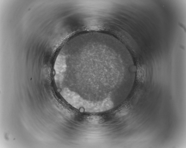 X0000103950444200810031349