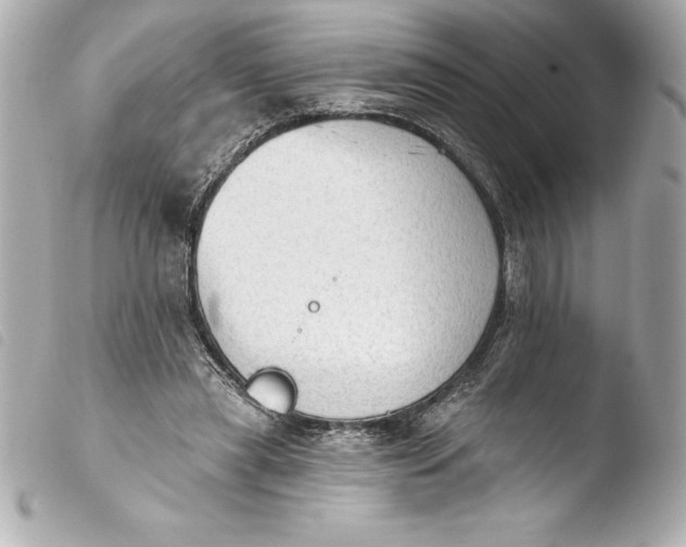 X0000103950445200810031349