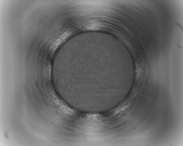 X0000103950446200810031349