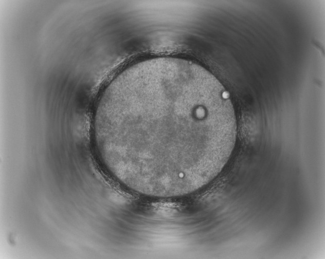 X0000103950448200810031349